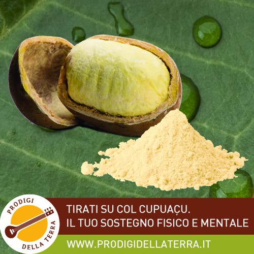 Polpa del frutto Cupuaçu (Theobroma grandiflorum), energetico immediato contro la fatica e lo stress!