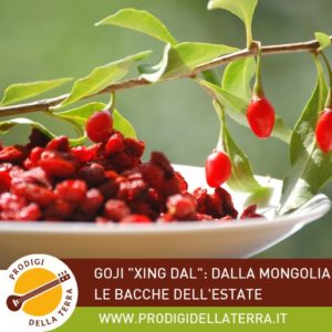 goji
