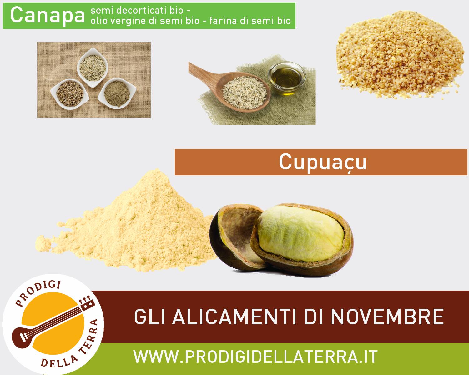 Gli alicamenti di Novembre