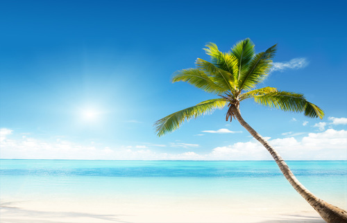 farmacia limena mare, sole e solari farmacia limena mare, sole e solari